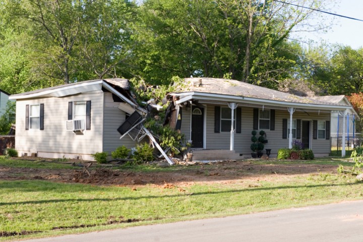 Fallen Tree Damage Restoration by Jersey Pro Restoration LLC