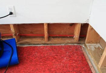 Basement Flood in River Edge, New Jersey