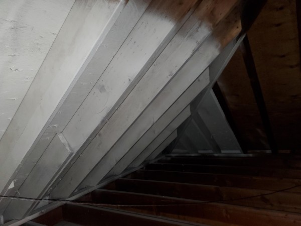 Mold Remediation in Wayne, NJ (1)