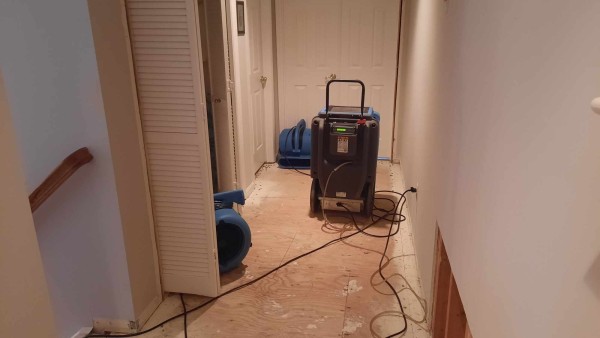 Water Damage Restoration in Elizabeth, NJ (5)