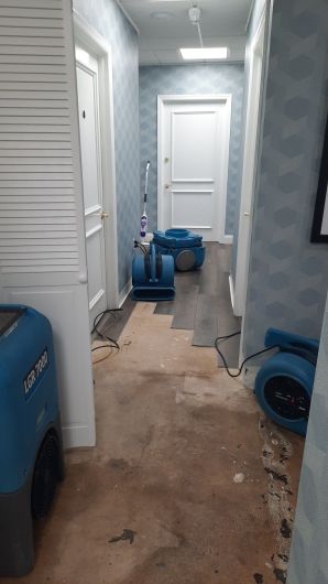 Water Damage Restoration in Elizabeth, NJ (3)